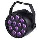 1007113 Portworld Uv Black Light 799648194249