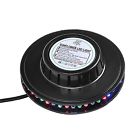 1200m0k37rg Sunflower Disco Bright Strobe