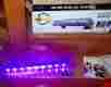 Eco-uvbar-50-ir-ob 3-watt American Dj Eco Uv Bar 50 Ir 9 X Led Linear Fixture Light Remote