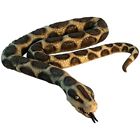 7217732 57454 Forum Novelties Party Supplies Multicolored 721773574542