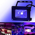 604270810101 Chinly Uv Black Light Bulbs Outdoor Ultra Violet