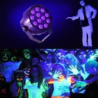 629770178612 Unbranded Uv Led Par Stage Lights Dmx Violet