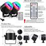 7445022934965 Youoklight Sound Activated Party Lights With Remote Control