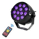 889119135786 King Black Lights With Leds Uv Bar By