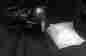 D60xti Lustr Etc Selador Desire Led Fixture Black Theater Stage Light