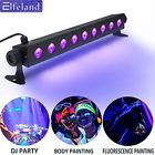 Elfelandhoasupic1128 Black Light Bulbs Bar 6463462893223