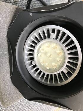 E117 Eliminator Lighting 855666000174 Par 38b Flood Light Black - Used