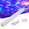 Lbu9921883 Kingso Black Light Uv Blacklight Stage Bar Party Club Halloween