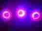 Led-par Led-boss Chauvet 196 Led Fixture X3 And Inop