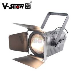 Fsp200 V-show Vshow 12pcs Led Fresnel Spotlight 200w Manual Zoom Dmx For Theater Studio