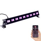 W9led Black Light U King 654070662400