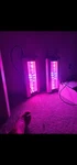 California Lightworks Solarsystem 550 Commercial Led Grow Lot Of 3 Tested. Fixed Price $400.00.