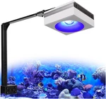 100W Wifi Reef Led Light For Corals & Fish Tanks, App Programmable. Fixed Price $258.99.