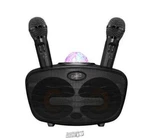 Supersonic Bluetooth Speaker With 2 Microphones And Disco Ball. Fixed Price $119.99.