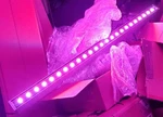 Led Rgb Stage Lights, 36' X 3" For Djs, Under Glow, Movie Screen Backings. Fixed Price $18.75.
