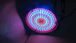 Eliminator Lighting Electro 138 Dj. Fixed Price $49.00.