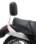 Cobra Square Sissy Bar 02-5260 Standard 17". Fixed Price $430.95.