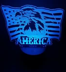 American Eagle And Flag 3D Led Night Light 16 Color Changing Acrylic W/ Remote. Fixed Price $18.75.