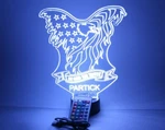 Bald American Eagle Bird Night Light Up Table Lamp Personalized Led With Remote. Fixed Price $34.99.