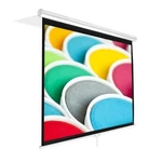 New PRJSM7206 Universal 72" Roll & Pull Down Manual Projection Screen 42.5"X56". Fixed Price $79.49.