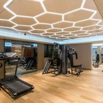 Yessources 15 Girds 240W Hexagon Led Light Gym Sport Pilates Studio 26400LM. Fixed Price $442.90.