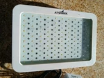 Led Grow Light With Timer Atshark 100W/PCS Tested. Fixed Price $30.00.