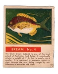 Sanitarium Australia The Young Naturalist Cereal Cut-out Card #04 Beam. Fixed Price $7.12.