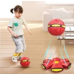 Led Magic Ufo Ball Flying Saucer Pet Flat Throw Disc Toys Free Shipping. Fixed Price $32.40.