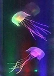 Replacement Pack For Lightahead Led Mini Desktop Jellyfish Lamp 2 Piece. Fixed Price $9.99.