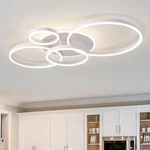Ceiling Light Flush Mount 5 Led Dimmable White Chandelier 100W Oneeldy Modern. Fixed Price $179.99.